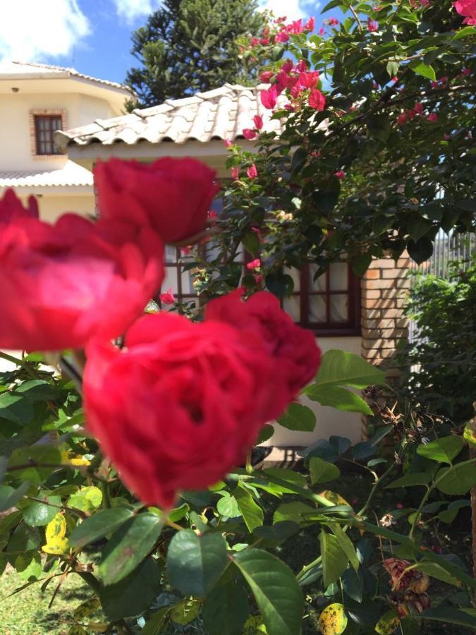 Villa Apart Hotel Лажис Екстериор снимка